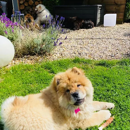 Fortwilliam Farm T12dnn2