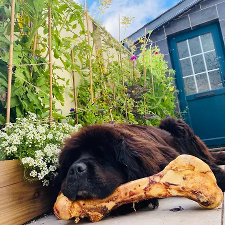 Fortwilliam Farm T12dnn2 منزل للإقامة