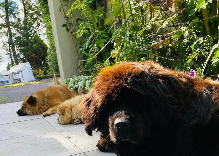 Fortwilliam Farm T12dnn2 * Cork