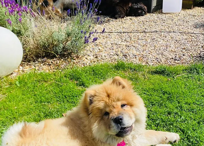 Fortwilliam Farm T12dnn2