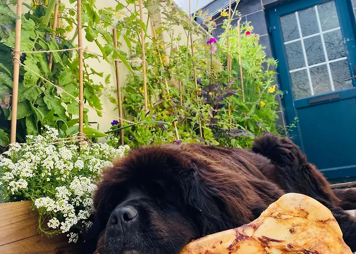 Fortwilliam Farm T12dnn2 Séjour chez l'habitant