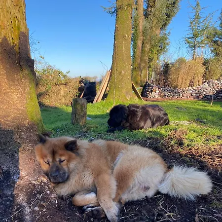 Fortwilliam Farm T12dnn2 *